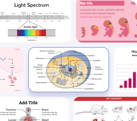 Visual representation for publication